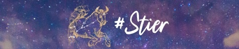 Stier