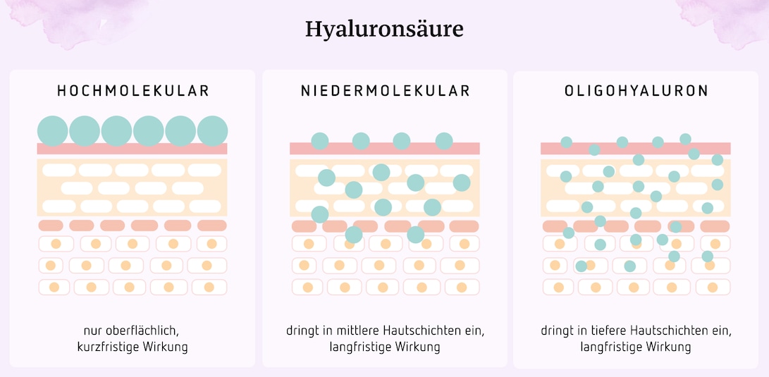 Drei Arten von Hyaluronsäre: Hochmolekulare Hyaluronsäure, niedermolekulare Hyaluronsäure und Oligohyaluron