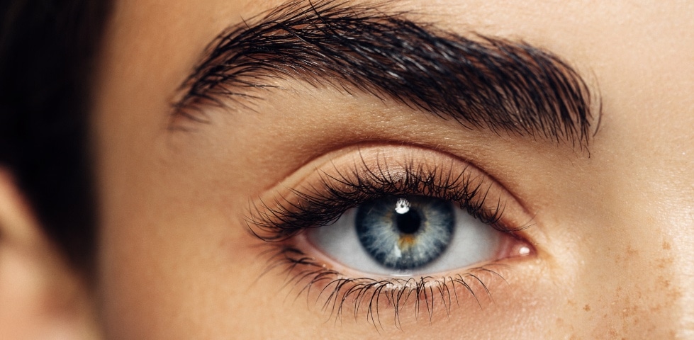 Was kann ein Wimpern-Primer?