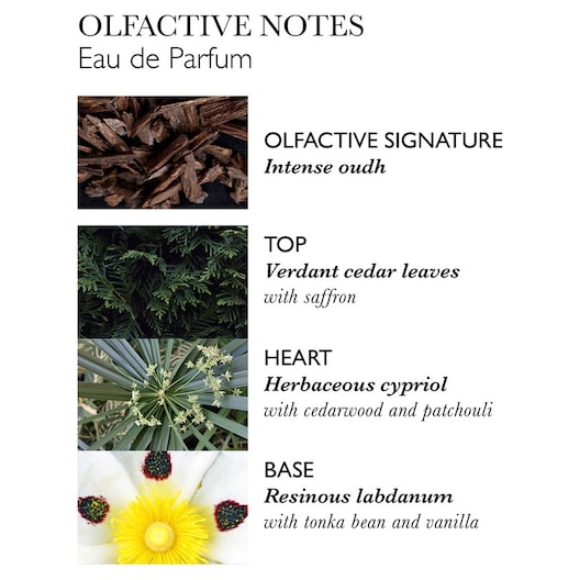 Molton Brown - Labdanum Dusk