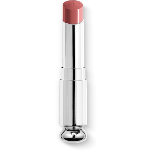 DIOR Lippenstifte Dior Addict Refill Damen 3.2 g