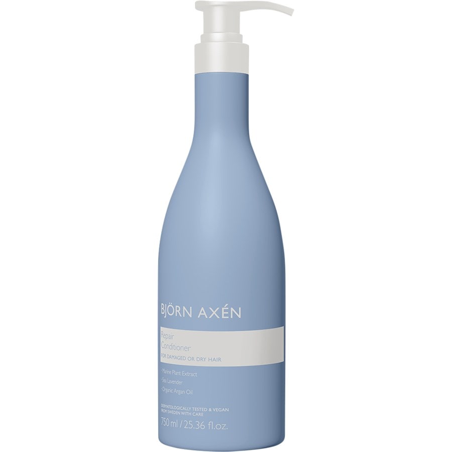 Björn Axén Condizionatore Repair Conditioner