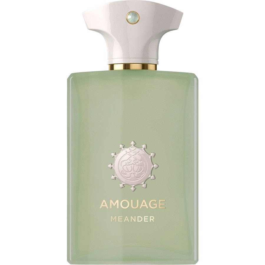 Amouage Herrendüfte Eau de Parfum Spray Meander 100 ml
