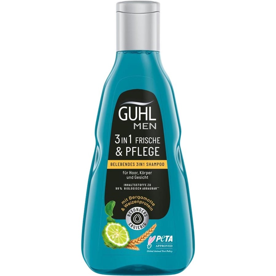 Guhl Shampoo Shampoo rivitalizzante uomo 3in1 Frische & Pflege