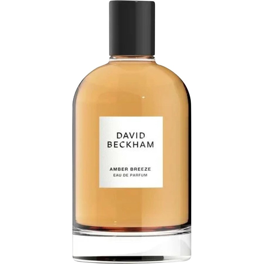 david beckham amber breeze