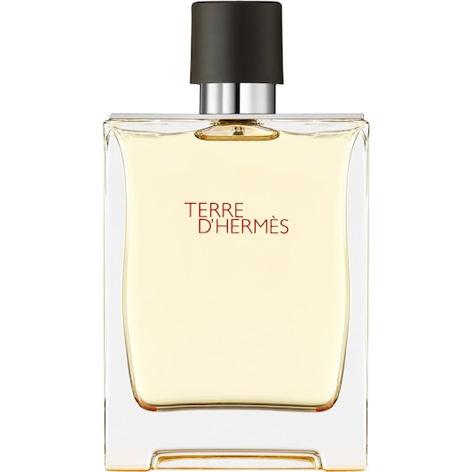 Hermès Terre d’Hermès Eau de Toilette Spray Parfum Herren 200 ml