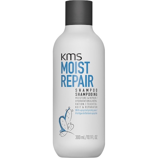KMS - Moistrepair