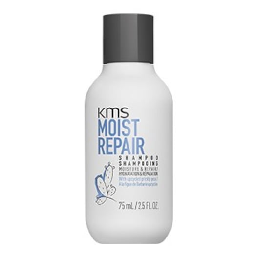 KMS - Moistrepair