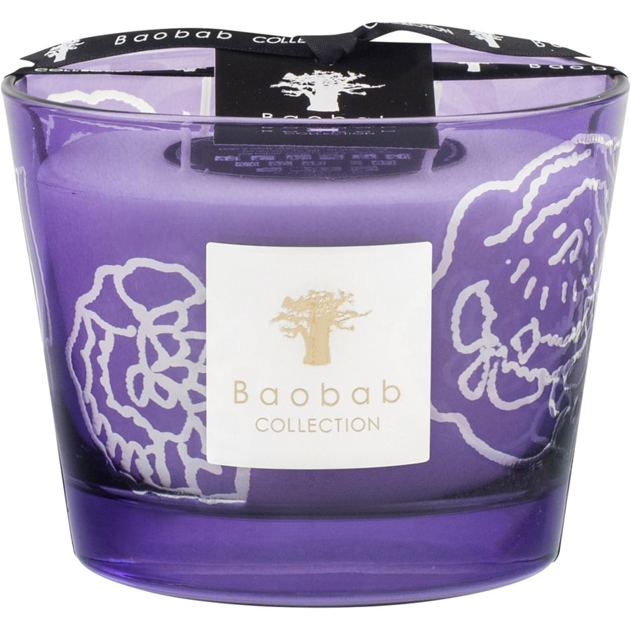 Baobab Candele profumate Candela Roses Dark