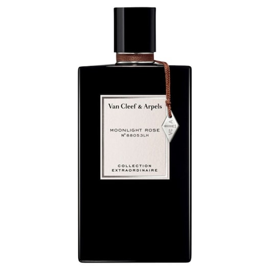Van Cleef & Arpels - Extraordinaire