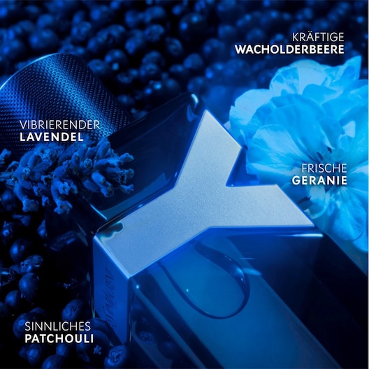 Y Eau de Parfum Spray Intense von Yves Saint Laurent ❤️ online