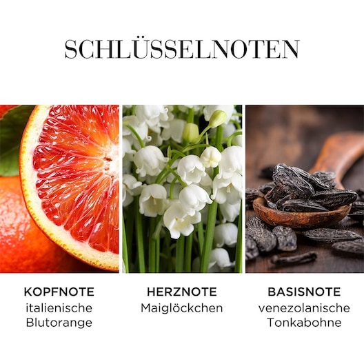 Elizabeth Arden - White Tea