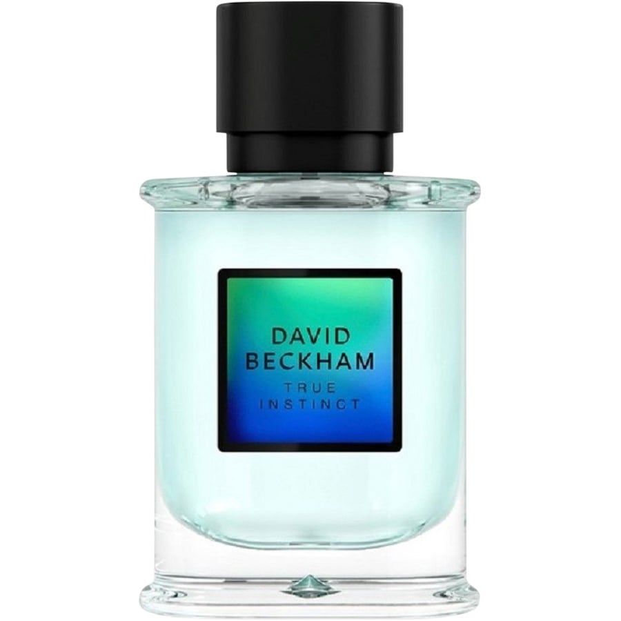 David Beckham Instinct Eau de Parfum Spray