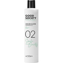 Good Society
