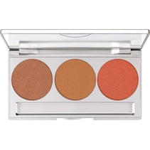 Blush & Bronzer