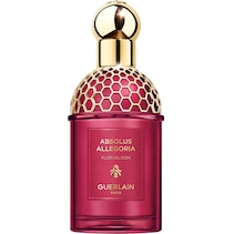 Absolus Allegoria