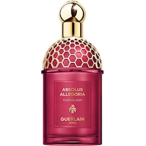 Absolus Allegoria