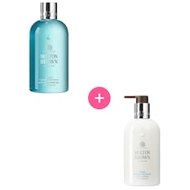 Coastal Cypress & Sea Fennel