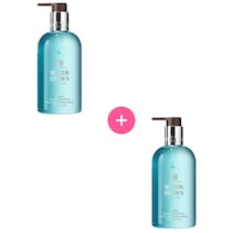 Coastal Cypress & Sea Fennel