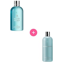 Coastal Cypress & Sea Fennel