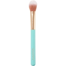 Brushes