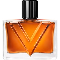 Vendetta Uomo