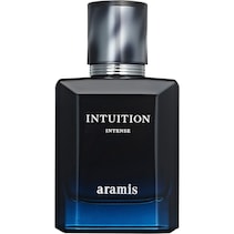 Intuition