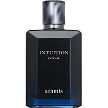 Intuition