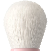 Brushes