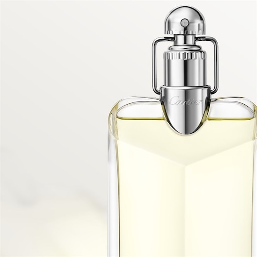 Déclaration Eau de Toilette Spray by Cartier | parfumdreams