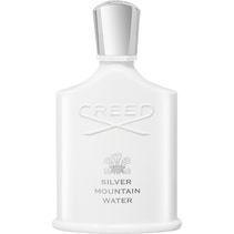Silver Mountain Water