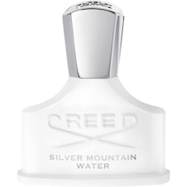 Silver Mountain Water