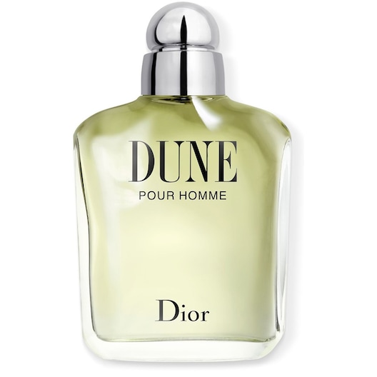 DIOR Dune pour Homme Eau de Toilette Spray Parfum Herren 100 ml