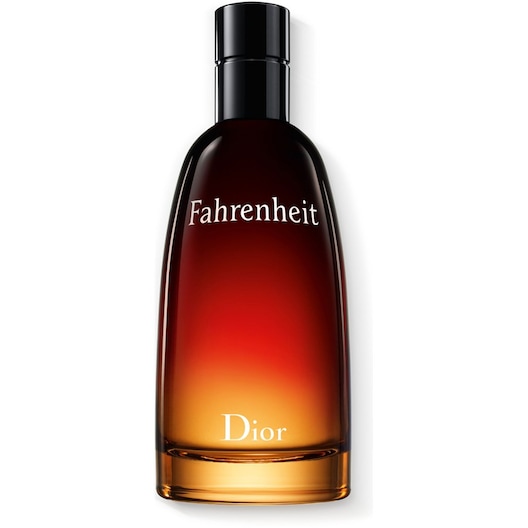 DIOR Fahrenheit Eau de Toilette Spray Parfum Herren 100 ml