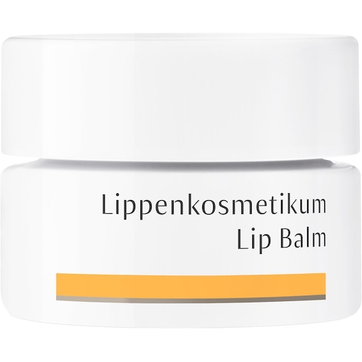Dr. Hauschka Gesichtspflege Lippenkosmetikum Lippenbalsam Damen 4,5 ml
