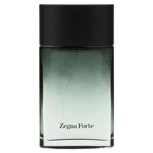Zegna Forte Eau de Toilette Spray by Ermenegildo Zegna