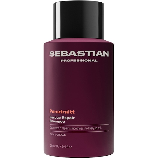 Sebastian Professional - Penetraitt