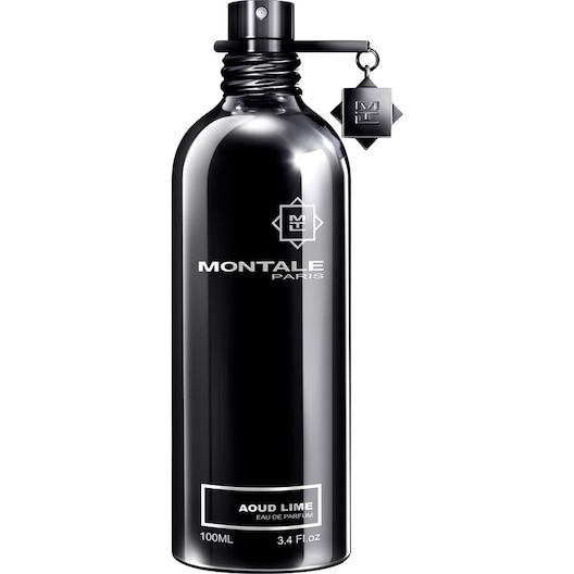 Montale Oud Eau de Parfum Spray Parfumer Male 100 ml
