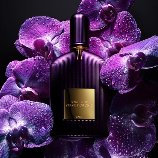 Tom Ford Black buying Orchid