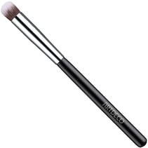 Brushes