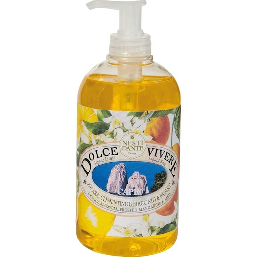 Nesti Dante Firenze Dolce Vivere Capri Liquid Soap Duschgel Unisex