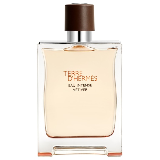 Hermès Terre d’Hermès Eau de Parfum Spray Herrenparfum Herren 200 ml