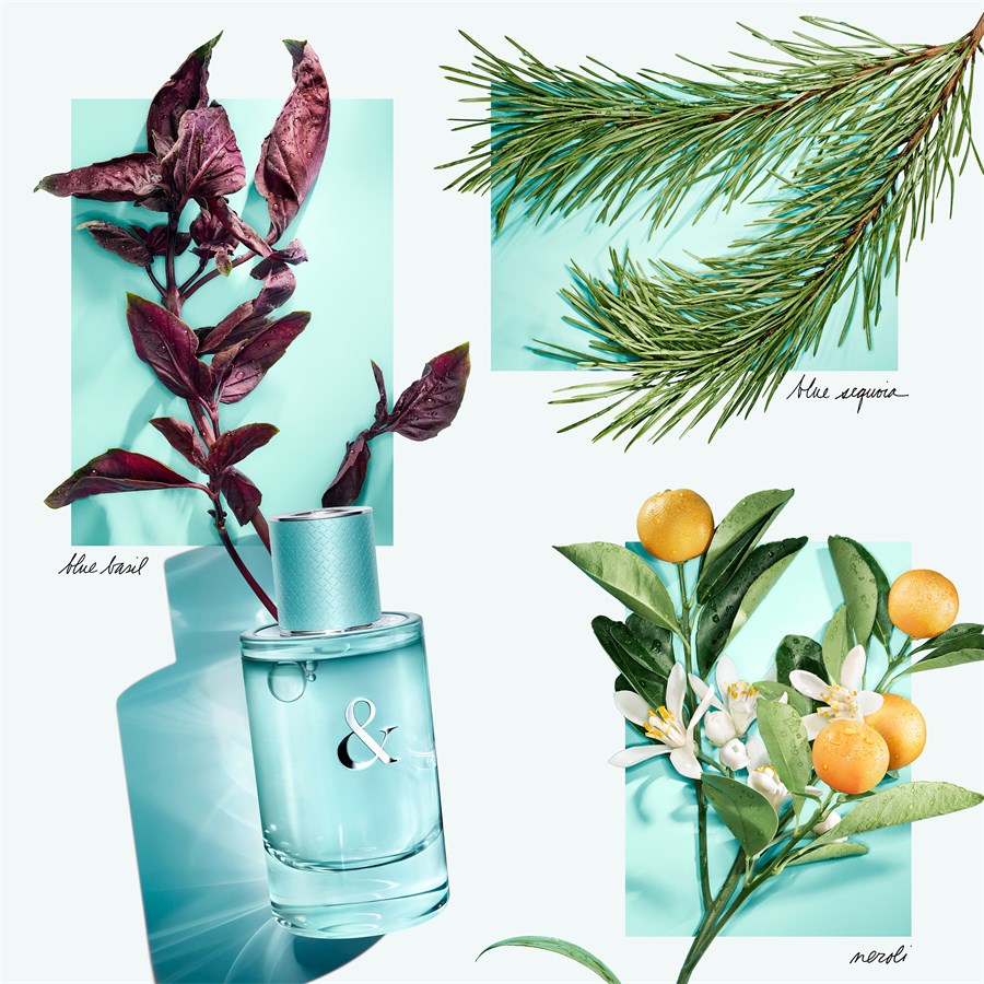 Tiffany & Love fragrance (50ml Justmylook Tiffany u0026 love