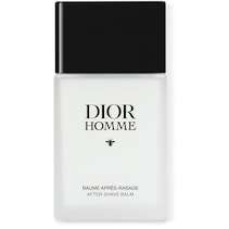Dior Homme