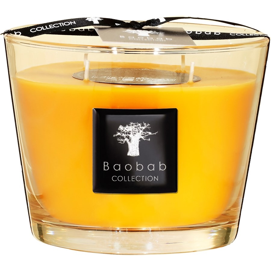 Baobab All Seasons Scented Candle Zanzibar Spices