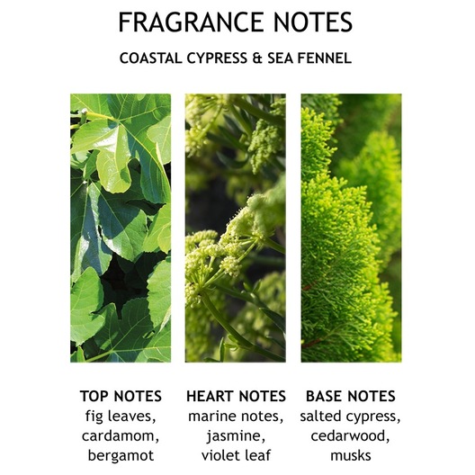 Molton Brown - Body care