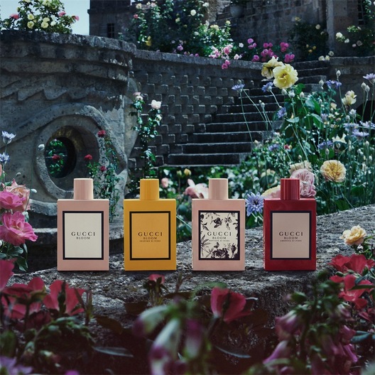 Gucci bloom kaufen deals