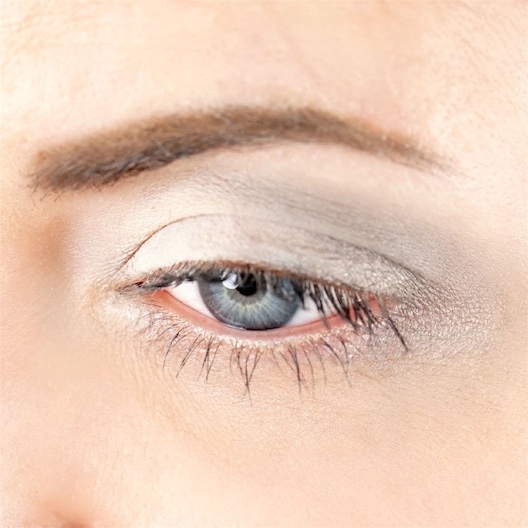 Zao - Eyeshadow & Primer