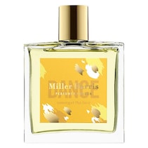 DANCE Amongst The Lace