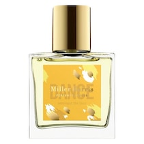 DANCE Amongst The Lace